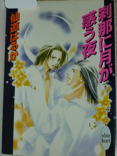 刹那に月が惑う夜　仙道はるか(著)